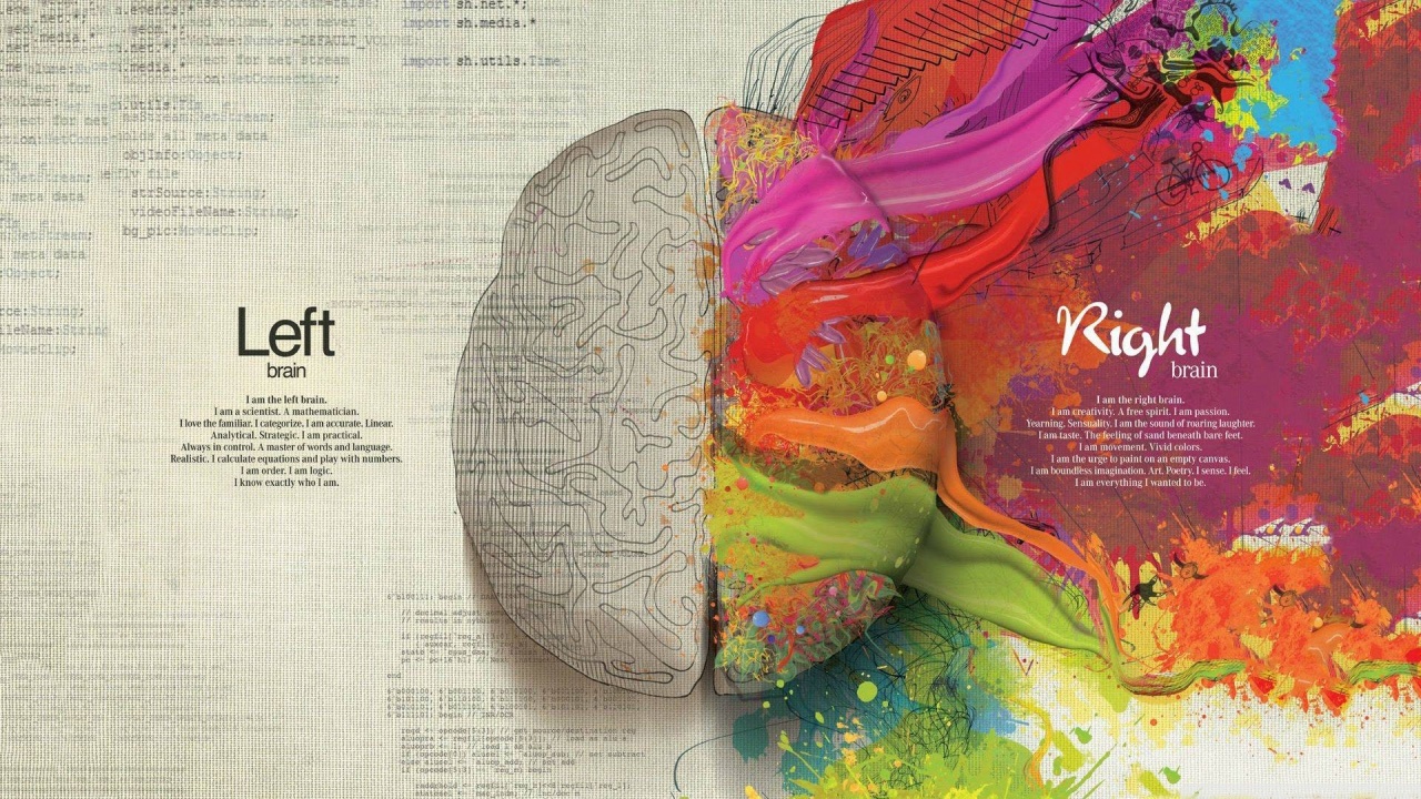 Brain